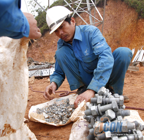 bu-long-vtu__duoc_sap_xep_hop_ly